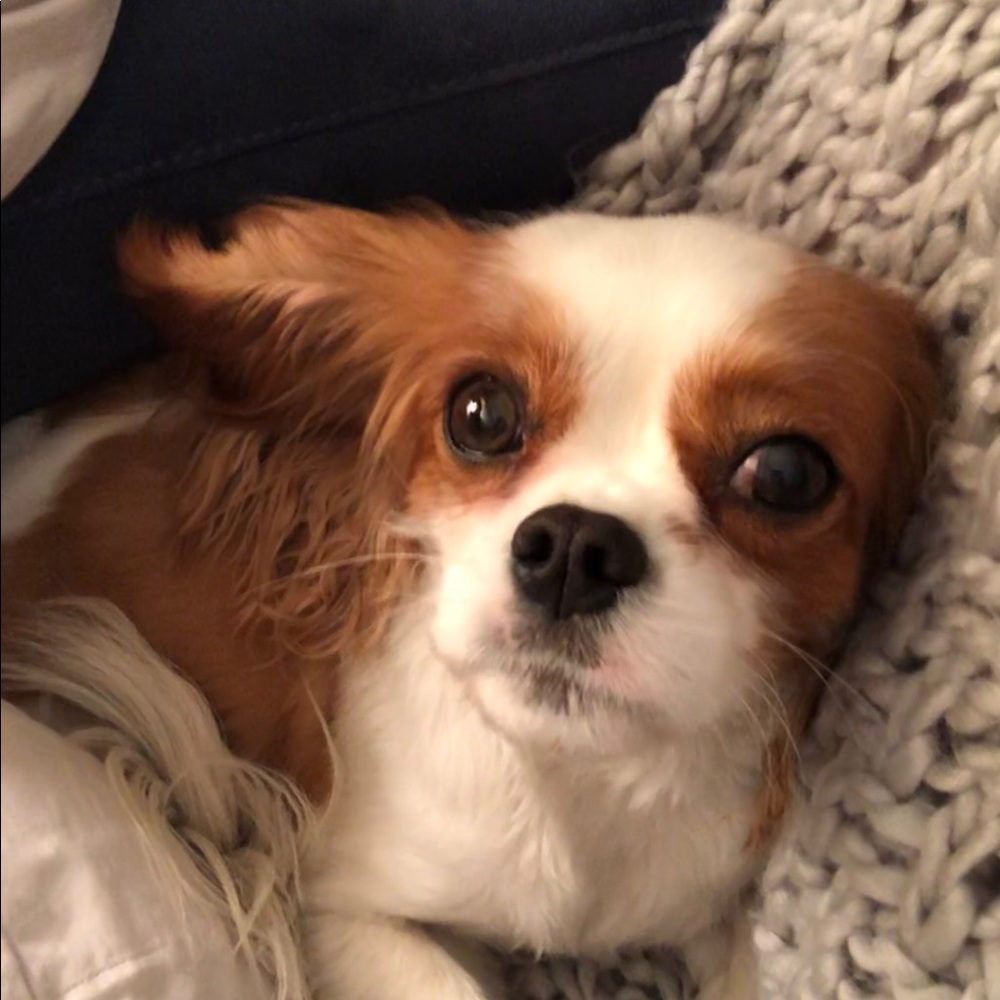 Meet your Posher, Meg